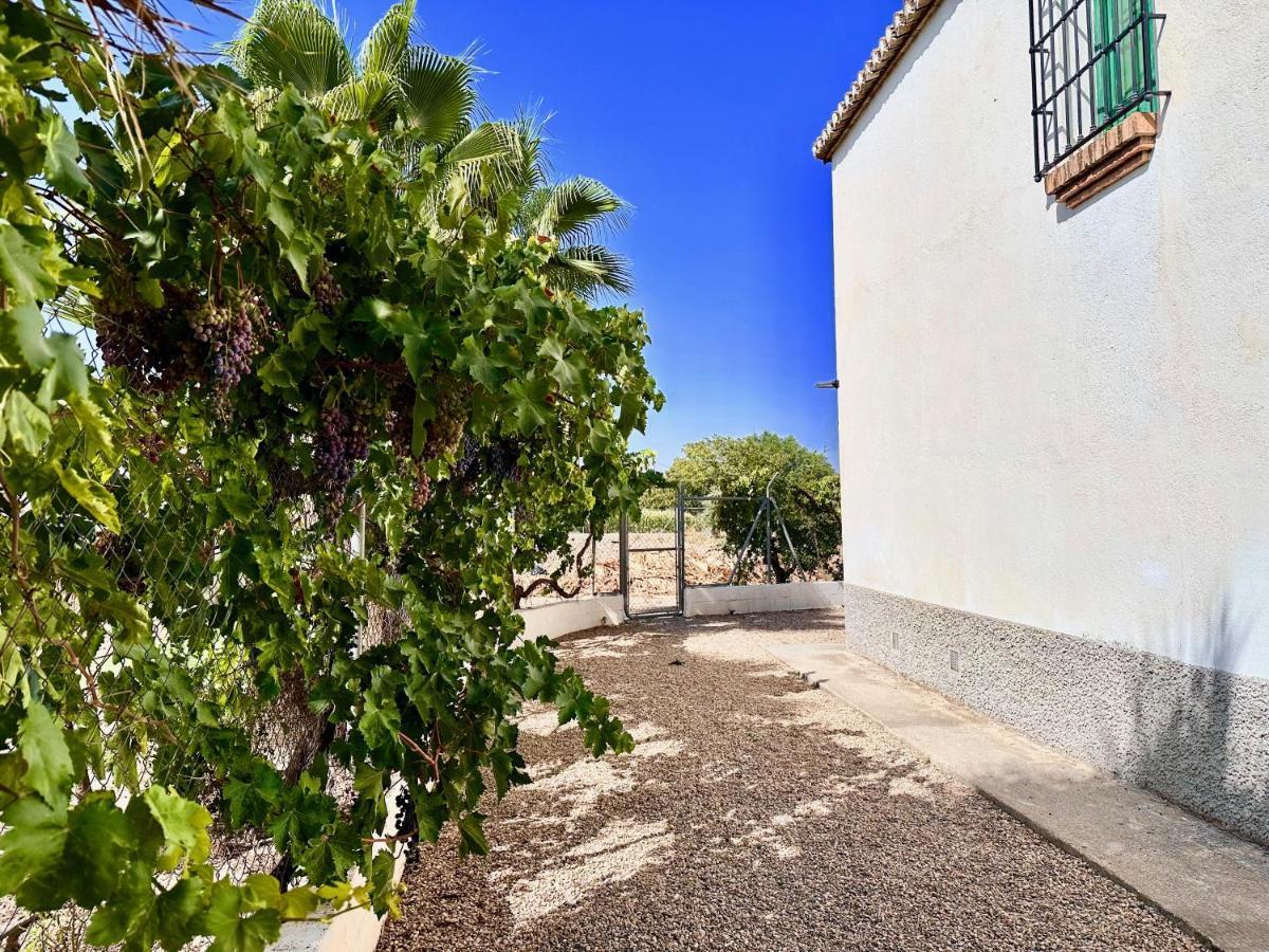 Encantador Cortijo La Emiliana A 5 Minutos Del Centro Churriana de la Vega Zewnętrze zdjęcie